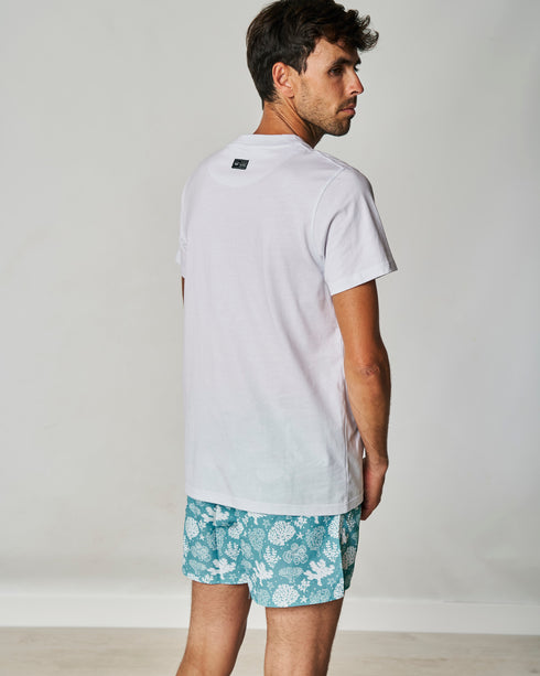 CMT SPAGNOLO 3729 000001