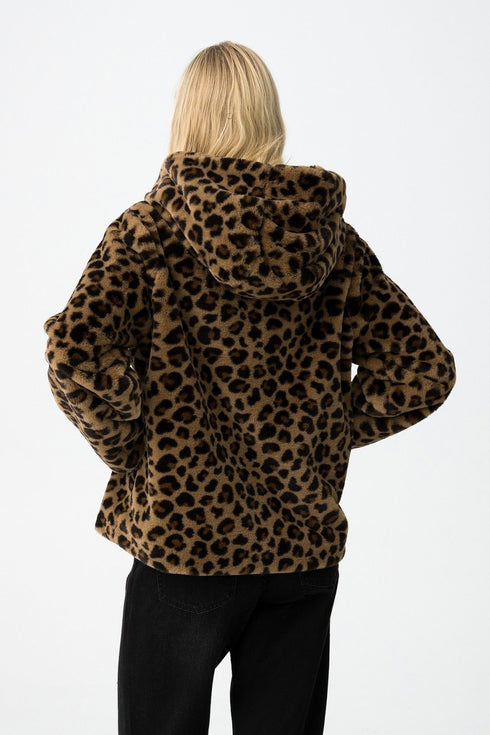 Chaqueta TIFFOSI Classic_2 10062216 290 Chocolate