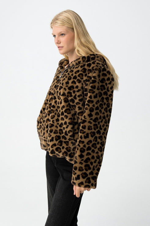 Chaqueta TIFFOSI Classic_2 10062216 290 Chocolate