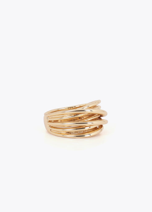 Anillo Nudos