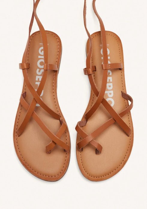 SANDALIA GIOSEPPO LUSSAT 69115 MARRON