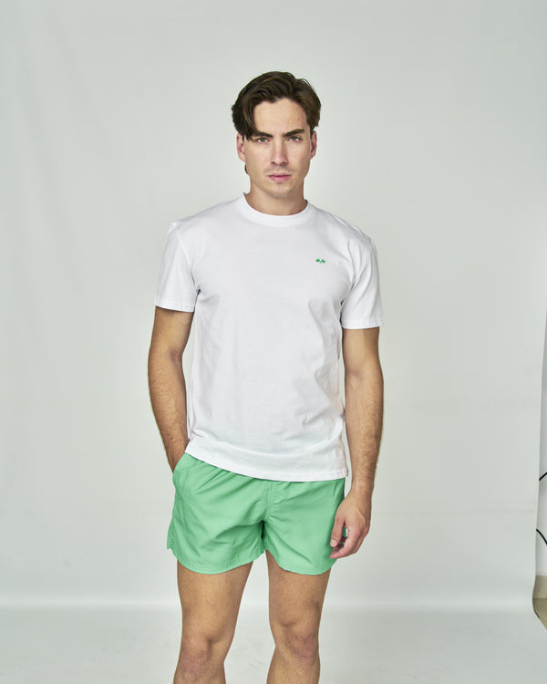 Camisa Letras Colores Espalda 000001 Spagnolo