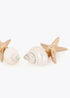 Pendiente Combinado Maxi Estrella Metálica y Caracola Natural Lola Casademunt